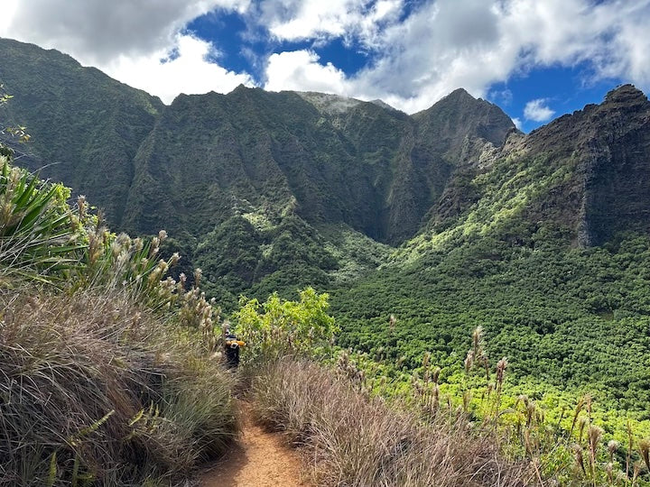 Kalalau trail - Hanakoa valley - GoKalalau