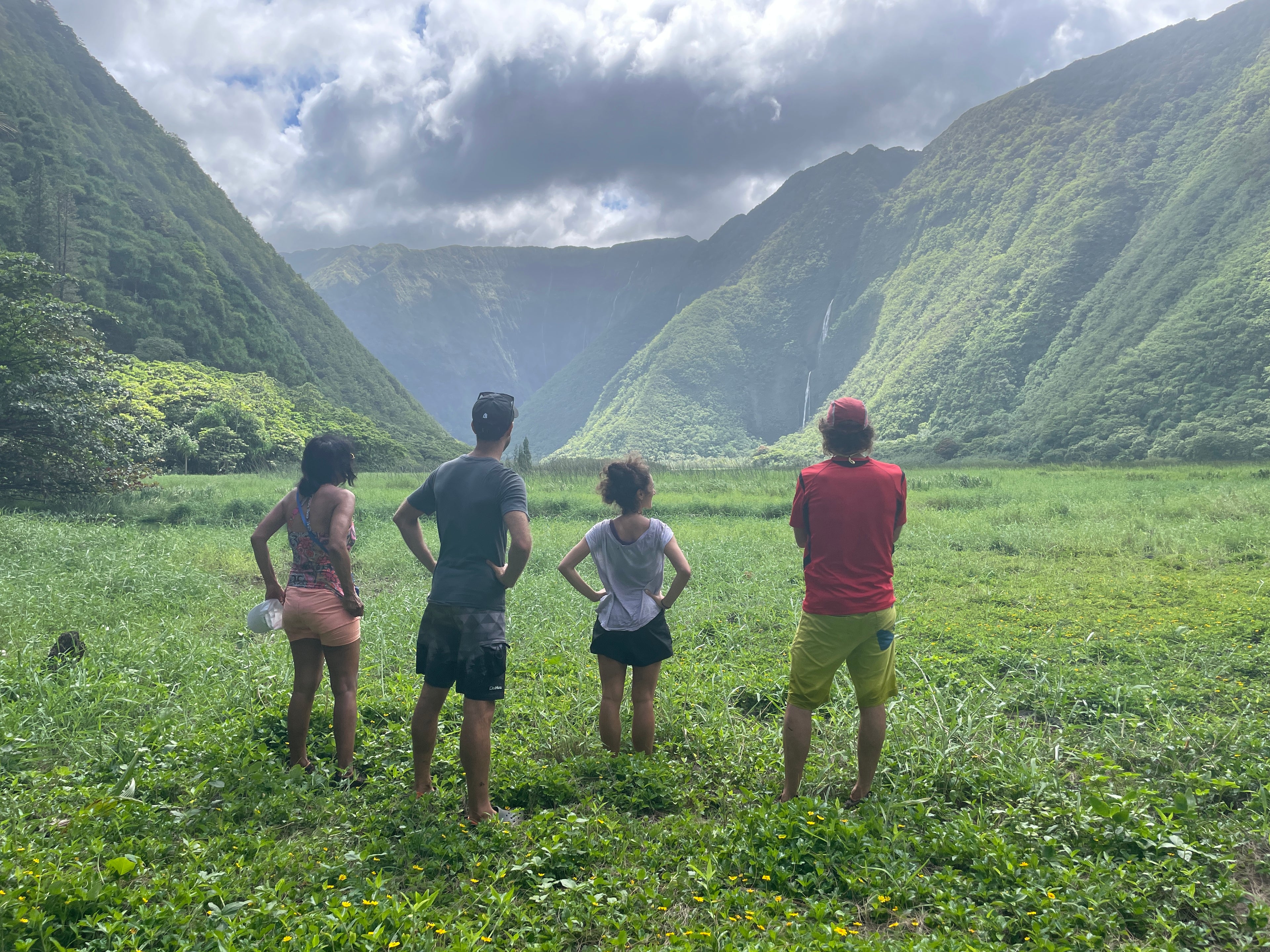 Waimanu Valley on the Big Island - GoKalalau